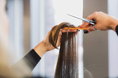 Ruvanti Professional Hair Cutting Scissors - Sharp Blades Hair Shears/Barber Scissors/Mustache Scissors - J2 Stainless Steel Hair Scissors - 6.5"- Haircut/Hairdresser Scissors for Kids, Men and Women. - HAB 
