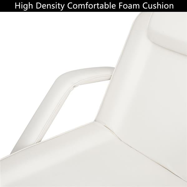 HZ015 Beauty Salon Chair Salon Chair Barber  Dual-purpose Barber Chair Without Small Stool White - HAB 